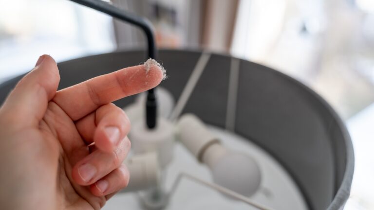 10 Things That Are Hiding Dust in Your House Right Now