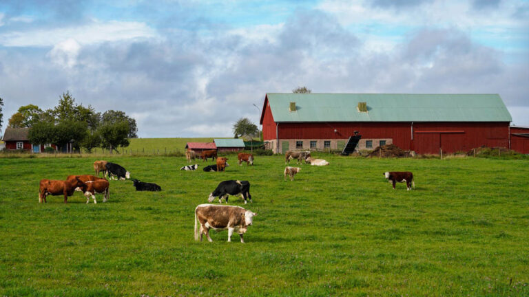 You’re not ready for land if you think 2 acres is “a lot”