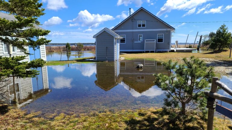 You’re going to regret putting your house here — here’s why