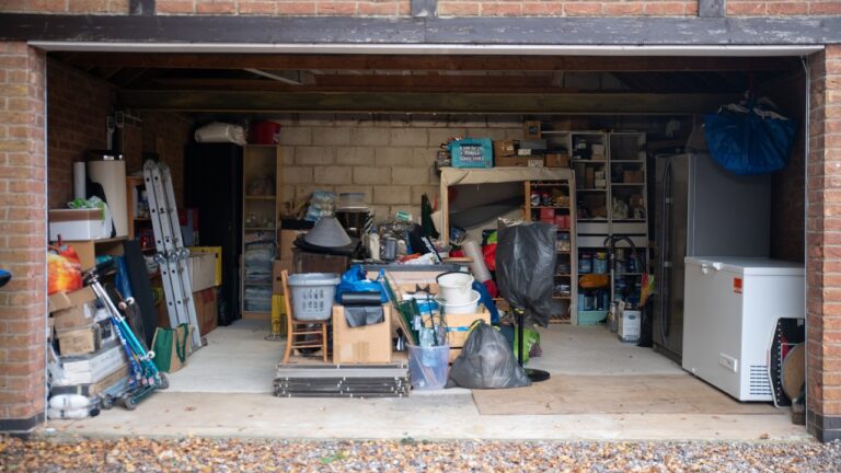 The garage items that do not tolerate freezing and where to put them instead
