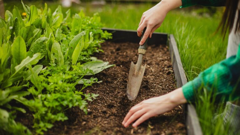 The Best Tools to Winterize a Raised Bed Garden