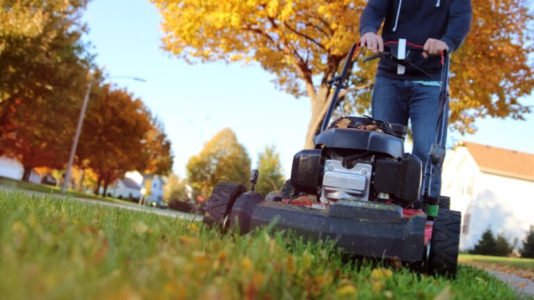 You’re mowing less—but doing this yard mistake puts you behind in spring
