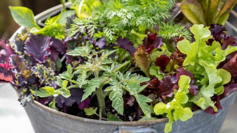 8 Planter Ideas That Look Expensive But Aren’t