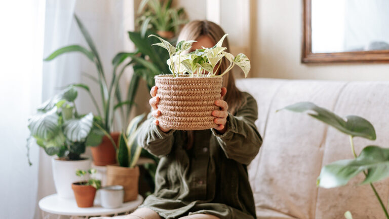 10 Things You Can Grow Indoors Without a Green Thumb