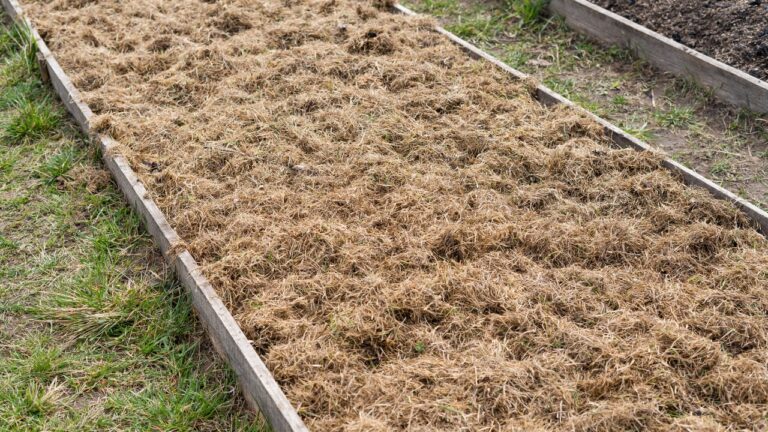 The simple soil cover that protects raised beds till spring