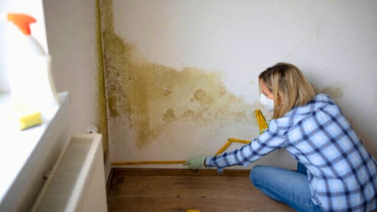 The “I’ll deal with it later” leak that turns into a mold cleanup, and it happens fast in winter