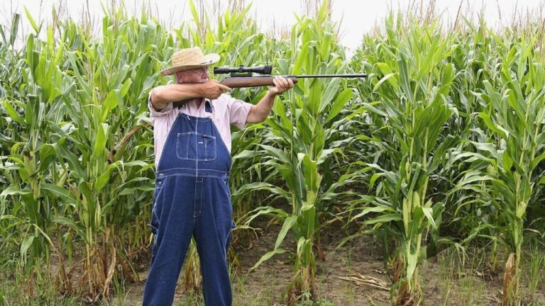 The practical rifle features that matter more than brand names on rural land