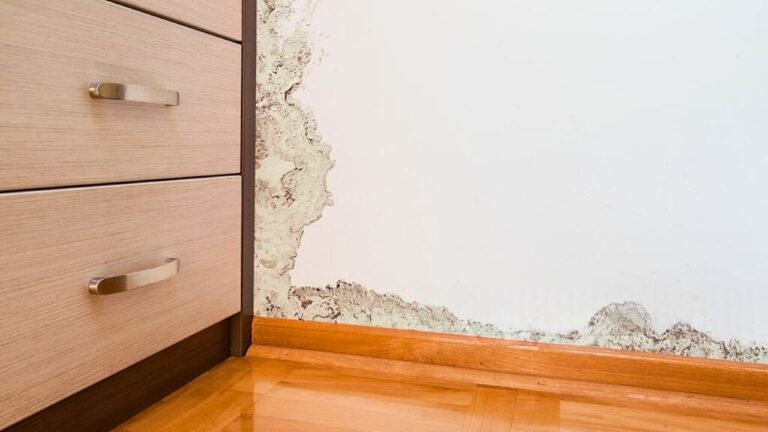 The repair sellers keep skipping that leads to lower offers