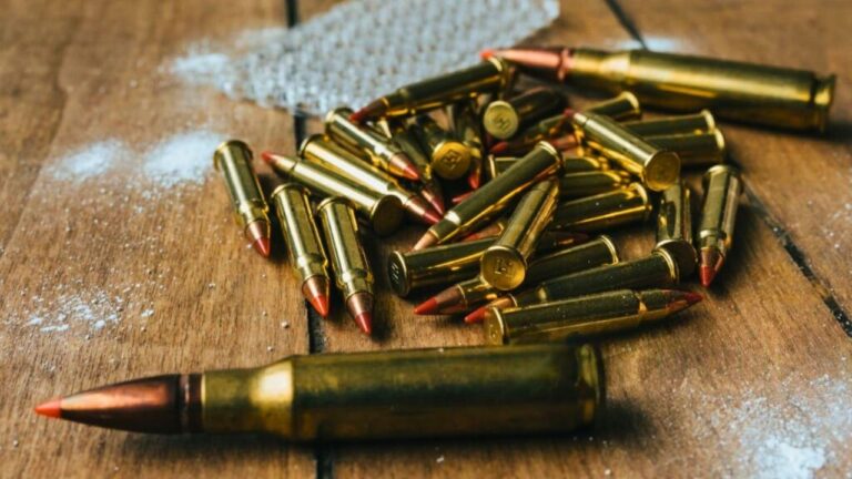 The caliber choice that works on paper but makes real-world pest control frustrating