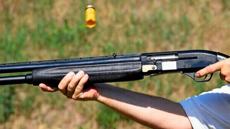 Shotgun loads that sound great online but pattern poorly in real life