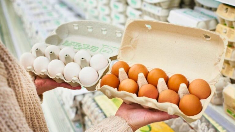 USDA’s latest egg market snapshot shows prices moving fast, here’s what that means for shoppers