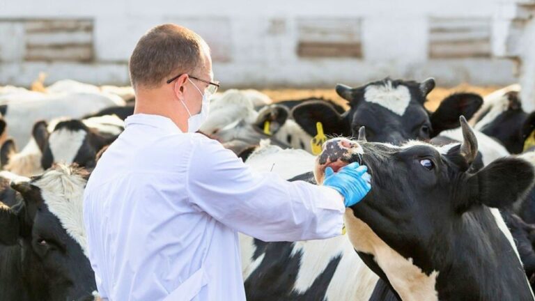 The bird flu strain found in Wisconsin is a new spillover event and not a continuation of the old one