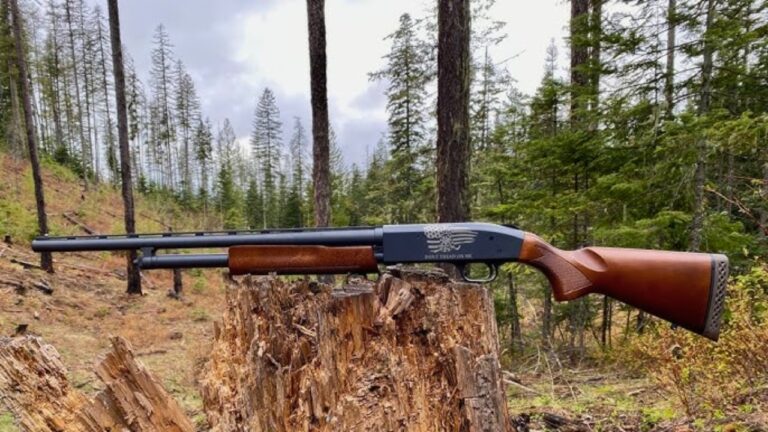 Shotguns that actually make sense for chickens, goats, and the garden