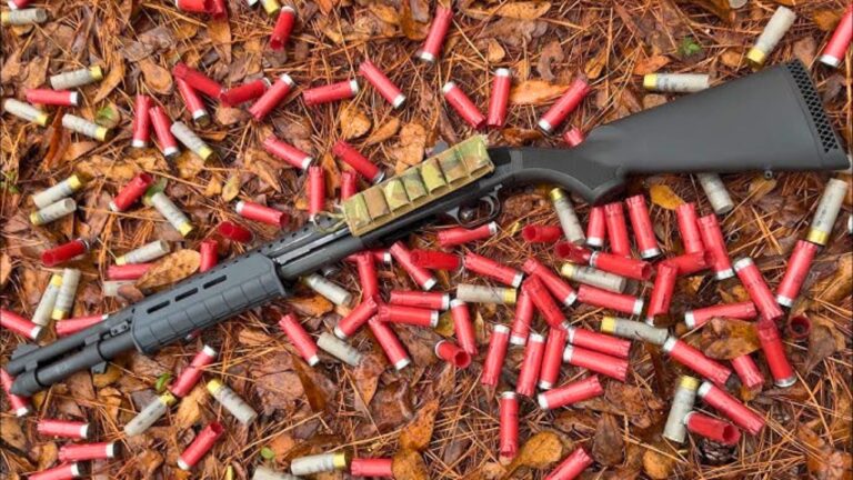 Shotguns that earn their keep season after season