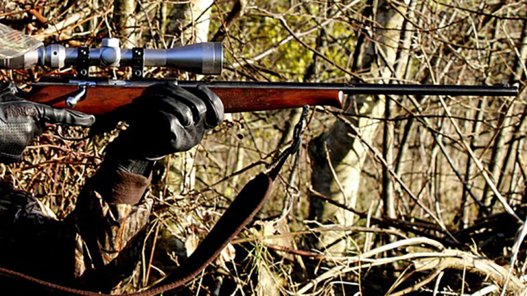 Rifles that turn coyote work into pure frustration