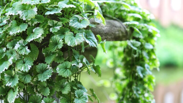 If your yard still has these plants by spring, you’re asking for a takeover