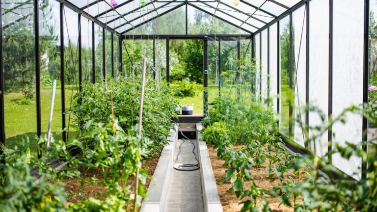 11 Ways to Use Your Greenhouse in Cold Months