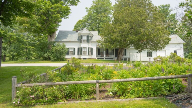 Why “homestead dreams” are running into a hard wall, land costs are the real gatekeeper