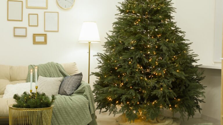 Live tree safety habits that matter once the house gets dry