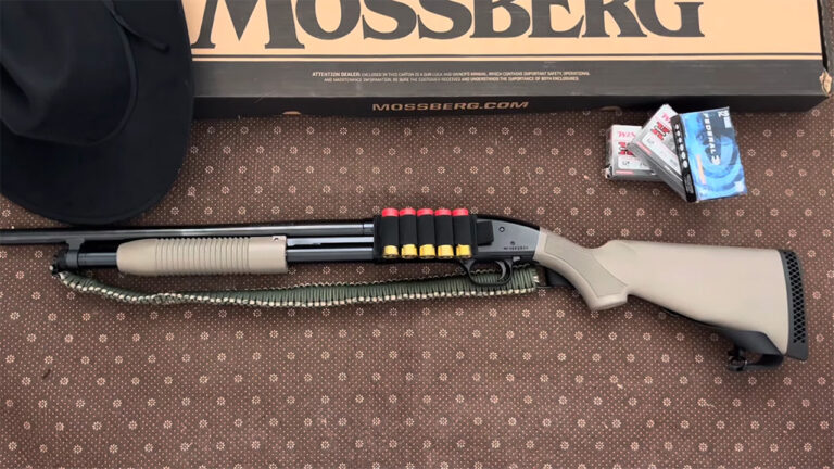 Shotguns homesteaders retire early after one bad night in the rain