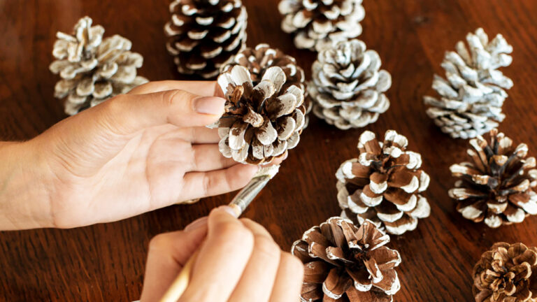 10 Things You Can Make With Pinecones This Season
