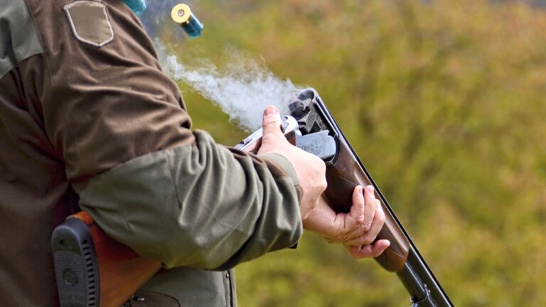 Shotguns That Tear Up More Property Than Pests