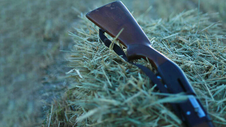 Shotguns that turn nighttime pest control into a guessing game