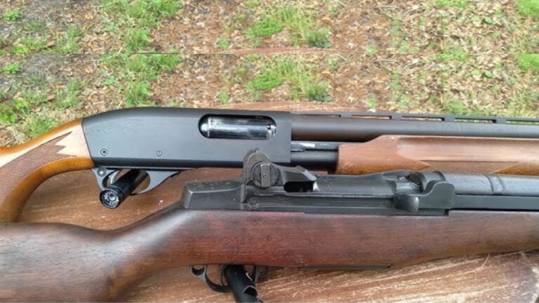 Shotgun vs. Rifle: What Makes More Sense for Nuisance Animals Around the House?