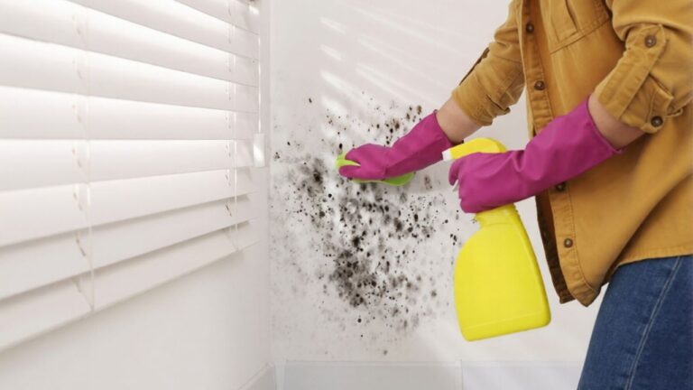 The mold-prevention step that matters more than bleach