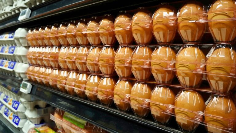 Why egg prices jump even when shelves look full (and what to buy instead)