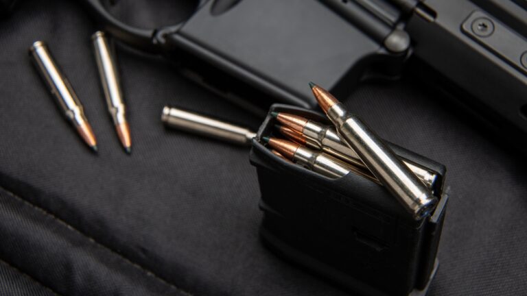 What Caliber Gives You the Best Chance on Fast-Moving Predators Like Coyotes?