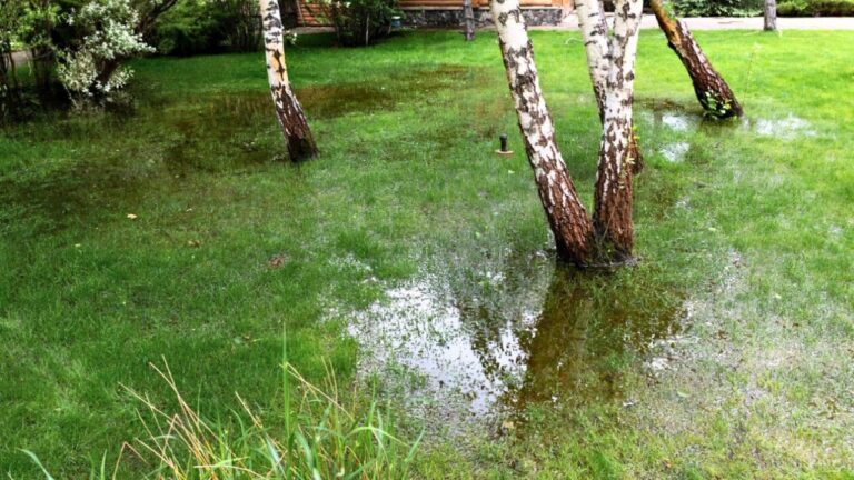 The backyard water pooling cause that’s usually fixable