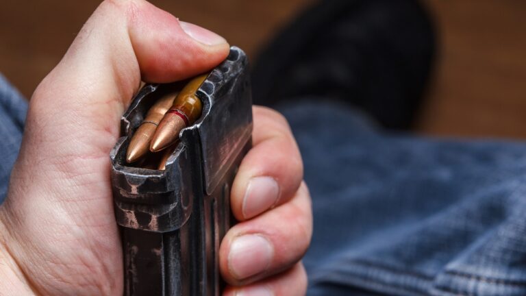 The Calibers You See All Over the Internet That Don’t Make Sense on a Small Homestead