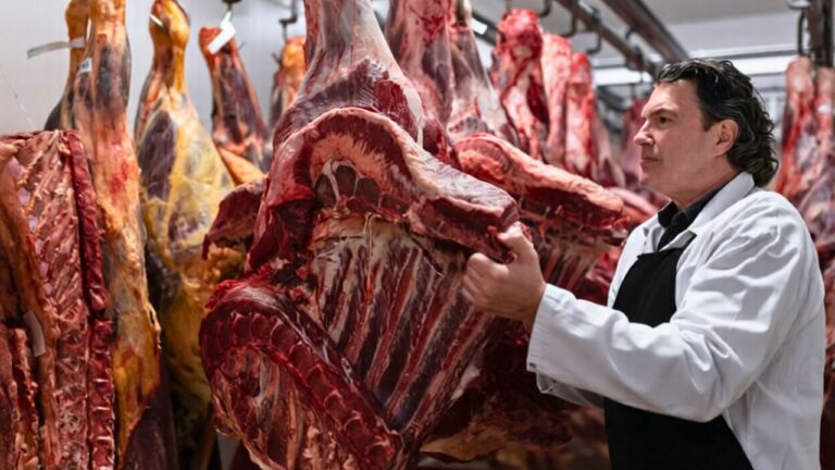 The “buy a quarter cow” trend is back, but here’s what to ask before you commit