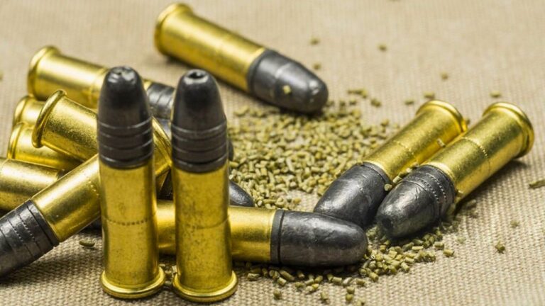 Rimfire vs. Centerfire: What Actually Works Better on Small Nuisance Animals?