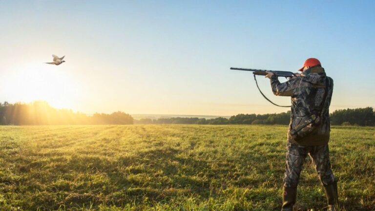 What Caliber Works Best for Crows, Vultures, and Other Problem Birds?