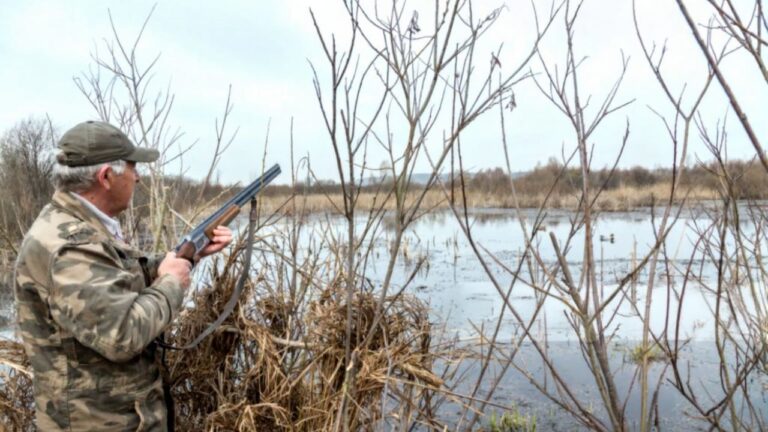 What Caliber Makes the Most Sense for Snapping Turtles, Beavers, and Water Pests?