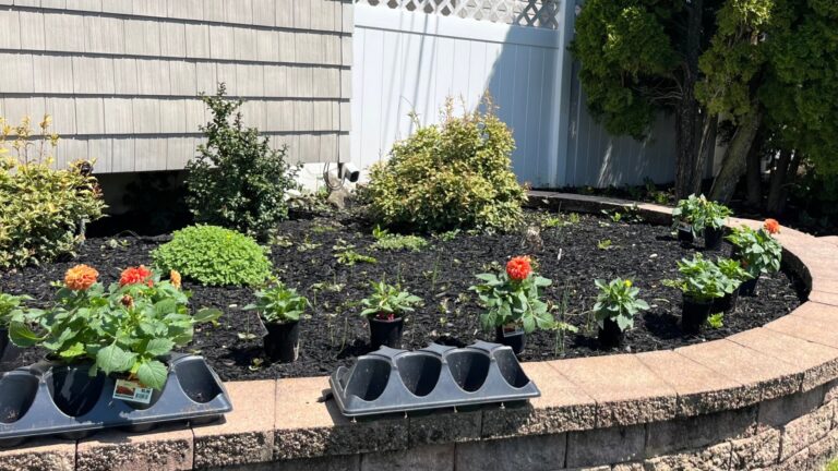 This outdoor feature is causing foundation issues over time