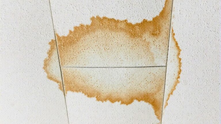 The ceiling stain you should never paint over without doing this first