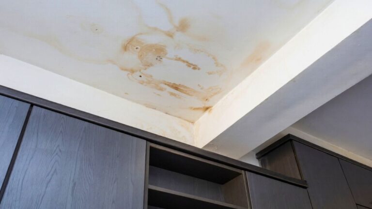 The hidden plumbing leak clue most homeowners miss