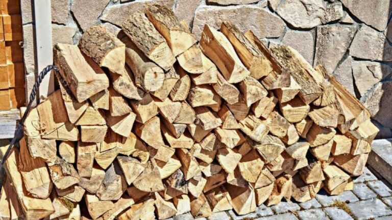 You’re storing firewood wrong if you want fewer bugs near the house