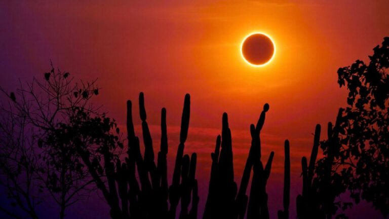 Here’s where the Feb. 17 annular eclipse is visible — and where it isn’t