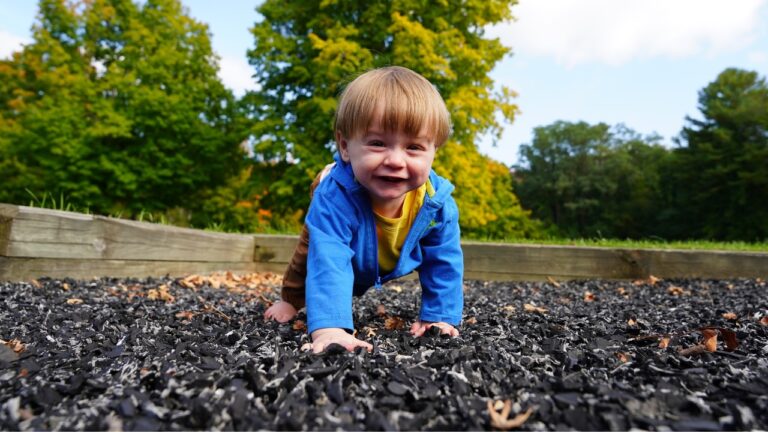 You’re buying the wrong kind of mulch for kids and pets