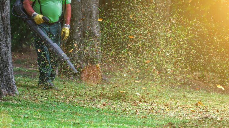 The yard habit that starts neighbor drama every summer
