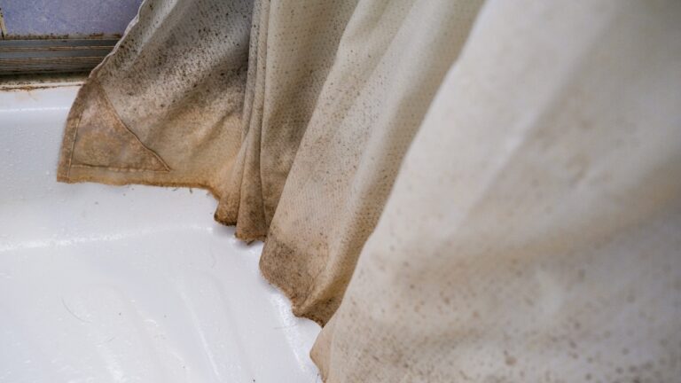 These shower curtain mistakes cause mildew even in clean bathrooms