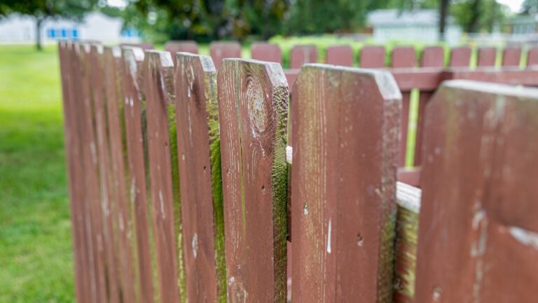 The fence stain mistake that causes peeling by fall