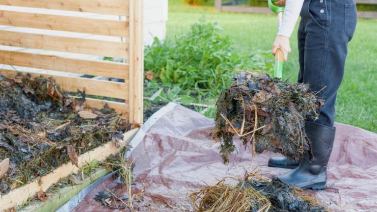 I put the compost pile too close to the back door and smelled the mistake first