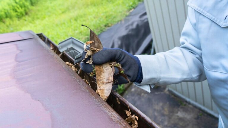 U.S. homeowners spending roughly $168 on average for gutter upkeep