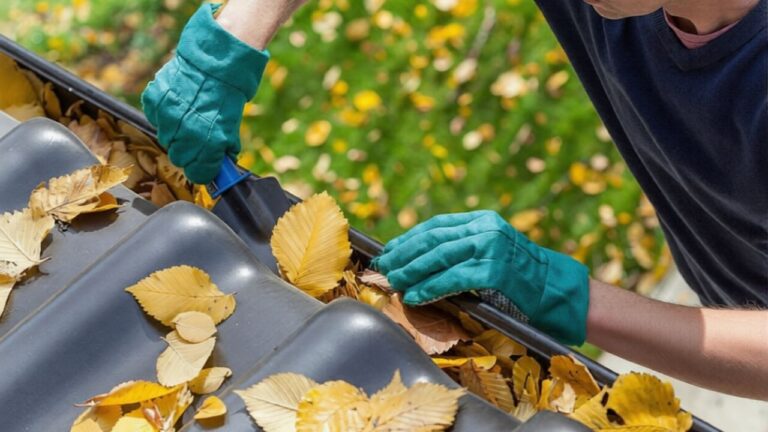 Spring maintenance pushes gutter cleaning into the $100 to $360 range