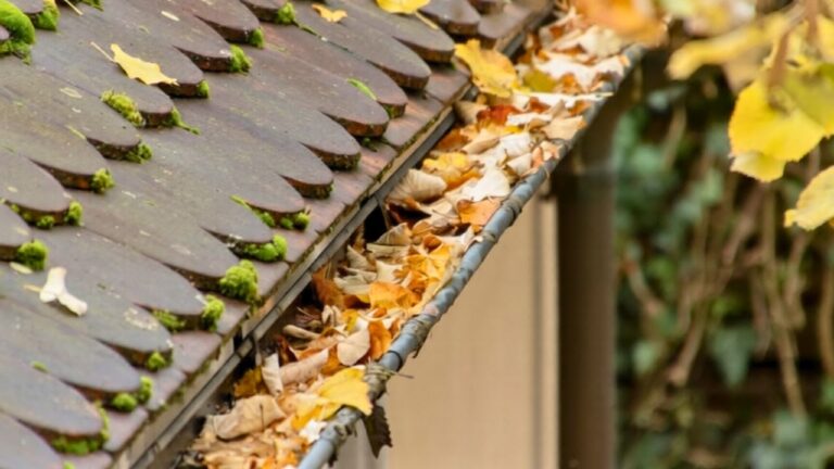 Heavily clogged gutters adding up to 50% in extra cleaning costs